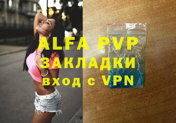 гашик Новодвинск