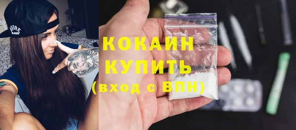 гашик Новодвинск