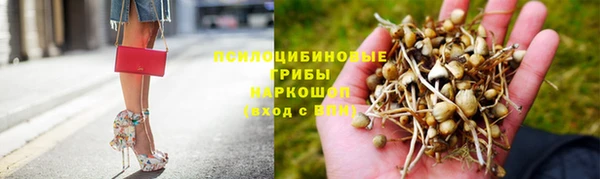 гашик Новодвинск