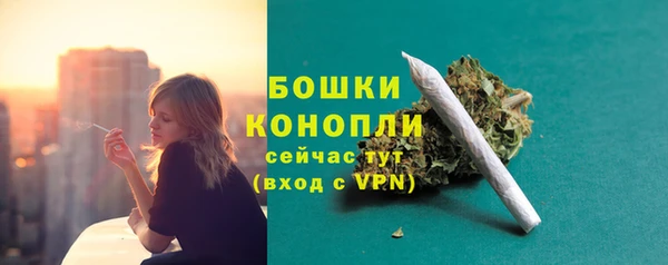 тгк Новозыбков