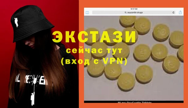 гашик Новодвинск