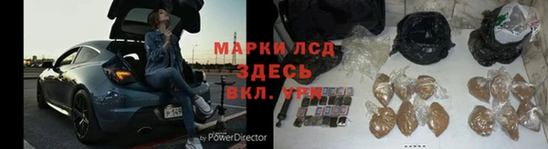 тгк Новозыбков