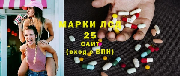 гашик Новодвинск