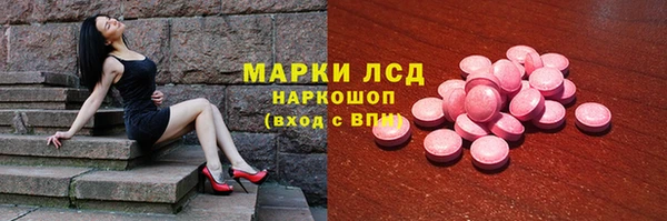 тгк Новозыбков