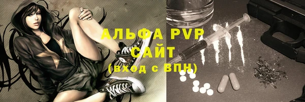 тгк Новозыбков