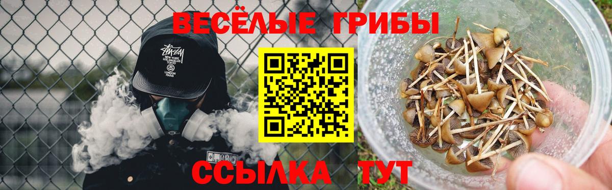 Псилоцибиновые грибы Cubensis Омск